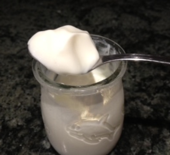 Yogurt Natural